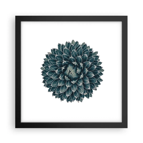 Póster en marco negro - Estrella del desierto - 30x30 cm