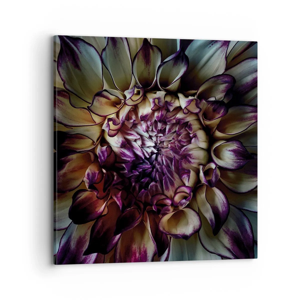 Cuadro sobre lienzo - Impresión de Imagen - El florecimiento de la hermosura - 70x70 cm