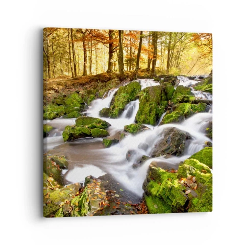 Cuadro sobre lienzo - Impresión de Imagen - Atravesando el bosque otoñal - 30x30 cm