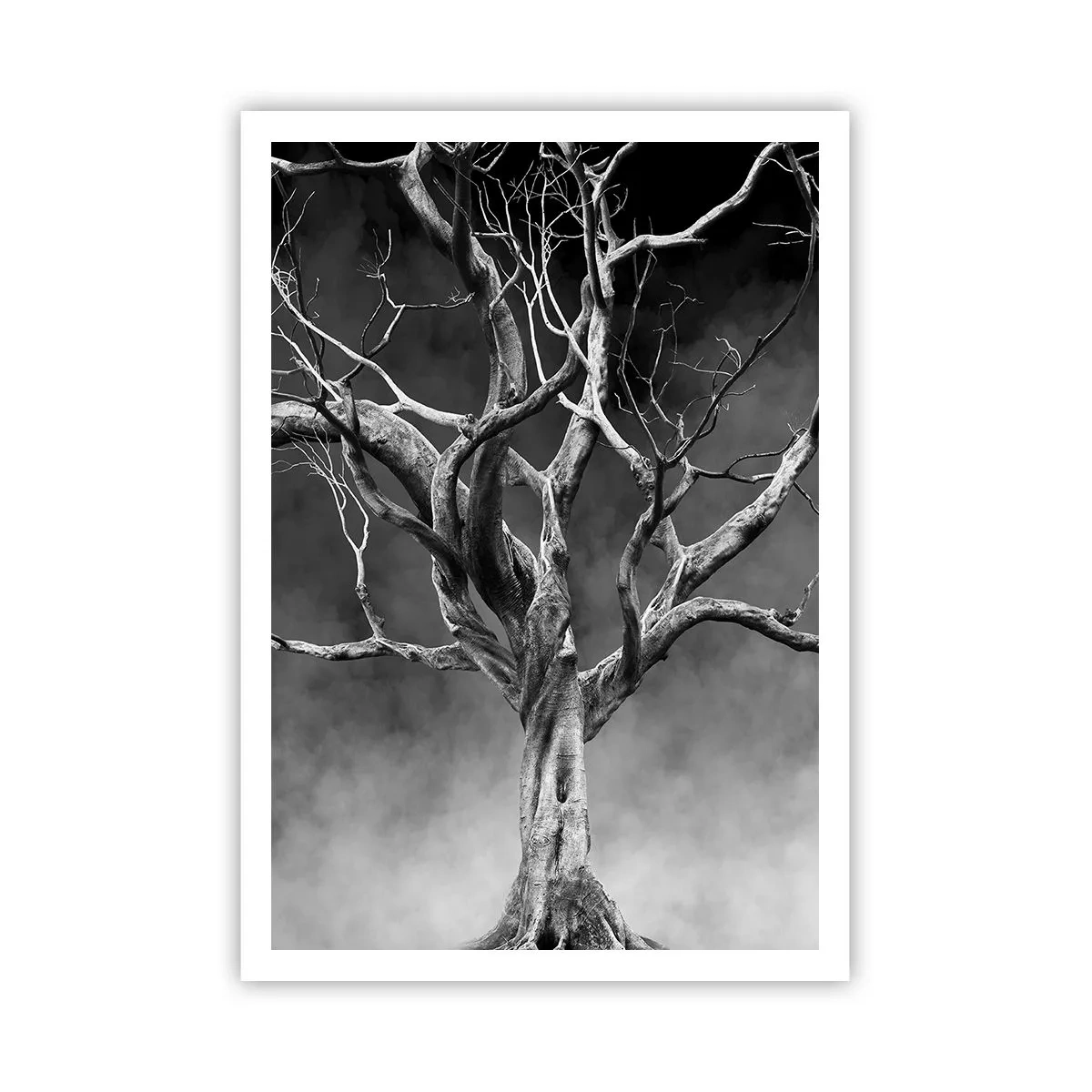 Póster - Primordial y sagrado - 70x100 cm