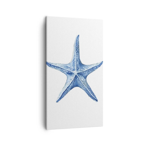 Cuadro sobre lienzo - Impresión de Imagen - Estrella de mar - 45x80 cm