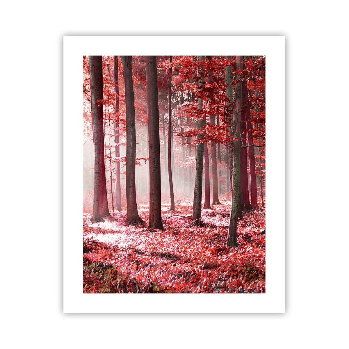 Póster - Rojo como el que más - 40x50 cm