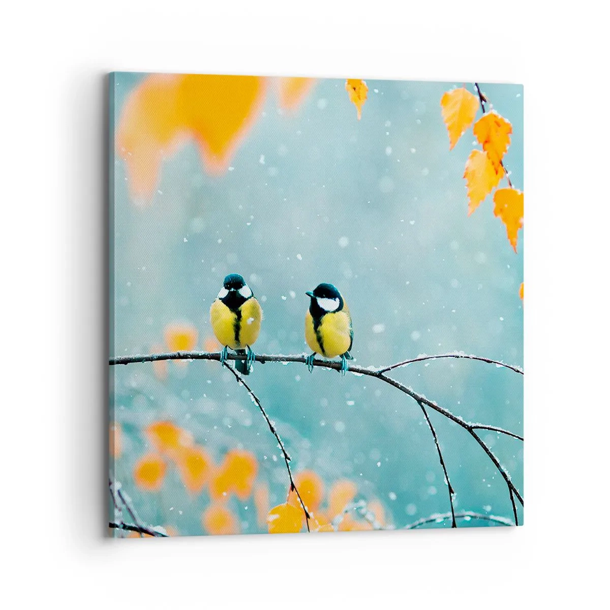 Cuadro sobre lienzo - Impresión de Imagen - Cotilleo de pájaros - 70x70 cm
