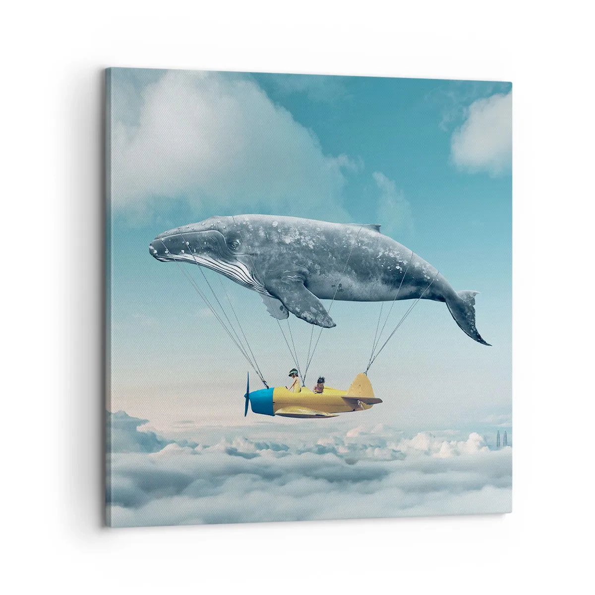 Cuadro sobre lienzo - Impresión de Imagen - ¿Por qué no? - 60x60 cm