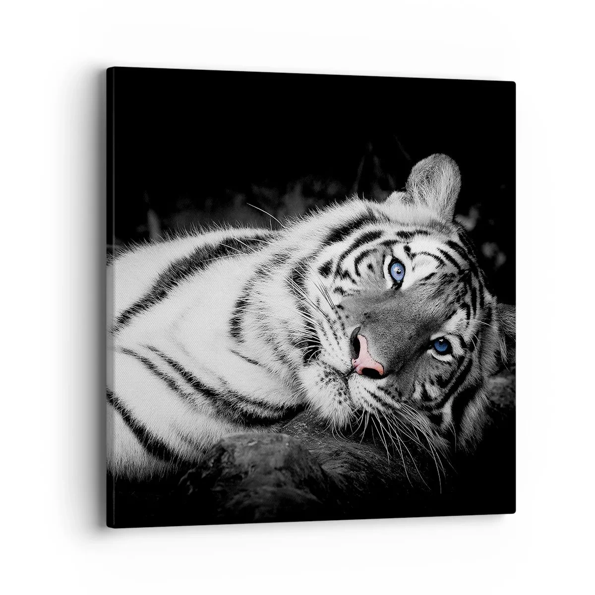 Cuadro sobre lienzo - Impresión de Imagen - Salvaje y tranquilo - 40x40 cm