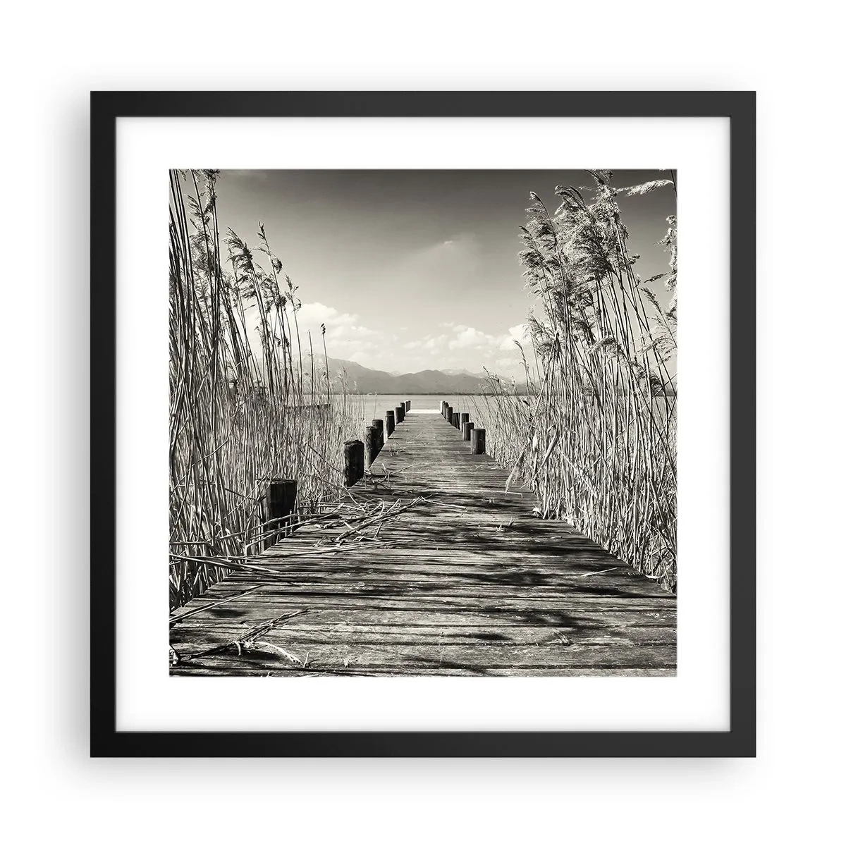Póster en marco negro - En la quietud de los juncos - 40x40 cm
