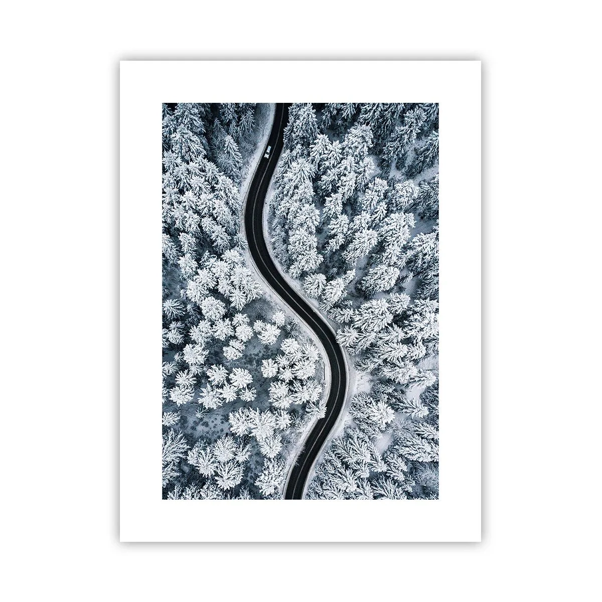 Póster - A través de un bosque invernal - 30x40 cm
