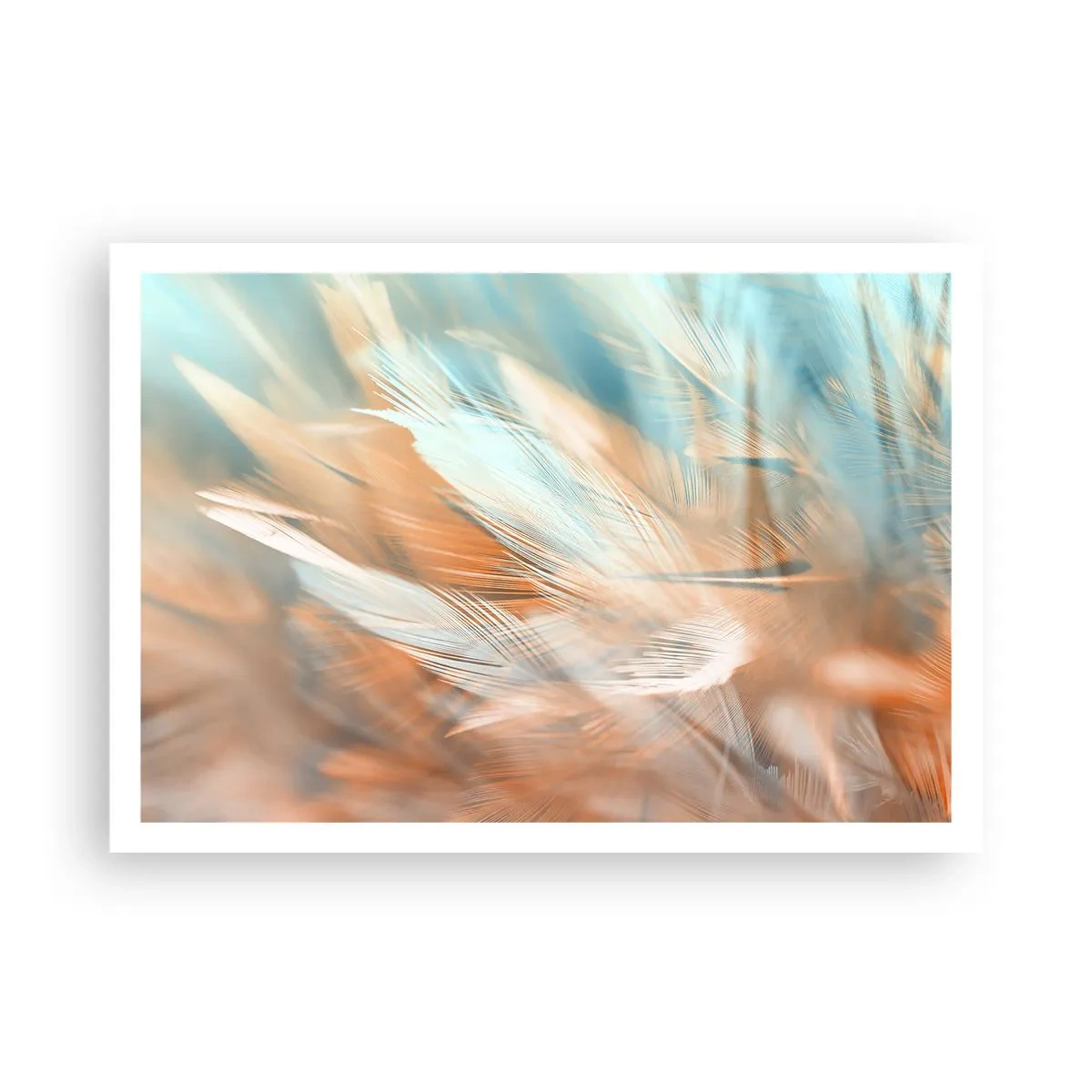 Póster - Delicadas plumas en tonos pastel de azul y naranja. - 100x70cm - En la tierra de la suavidad - Decoración de pared moderna para salón y dormitorio ARTTOR