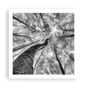 Póster - Carrera hacia la luz - 60x60 cm