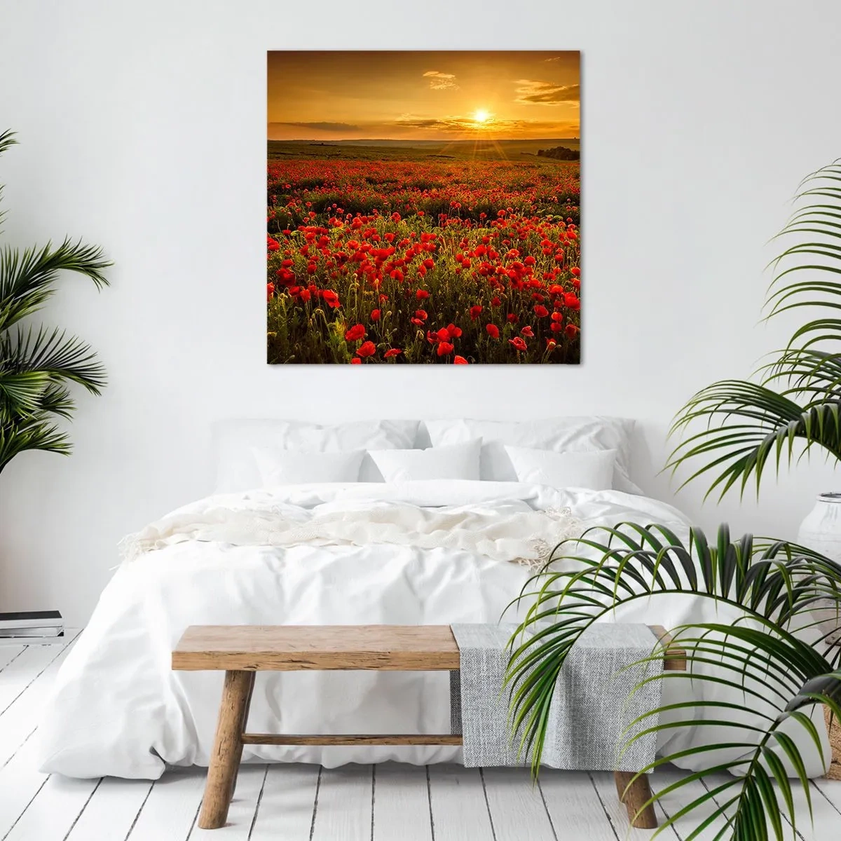 Cuadro sobre lienzo - Impresión de Imagen - Entre los campos de flores - 60x60 cm