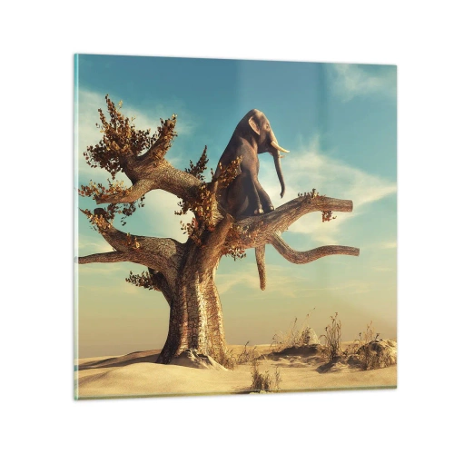 Cuadro sobre vidrio - Impresiones sobre Vidrio - Un nuevo punto de vista - 50x50 cm