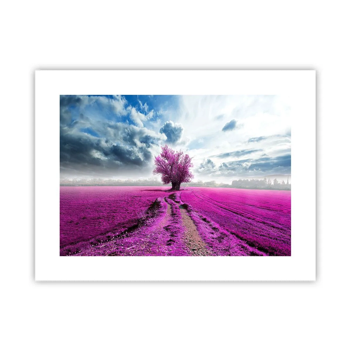 Póster - El brezal - un encanto - 40x30 cm