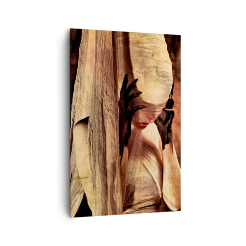 Cuadro sobre lienzo - Impresión de Imagen - Una mujer con velo y un estilo misterioso sobre un fondo oscuro. - 80x120cm - Entre el bien y el mal - Decoración de pared moderna para salón y dormitorio ARTTOR