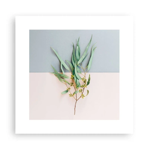 Póster - La sutileza del pastel - 30x30 cm