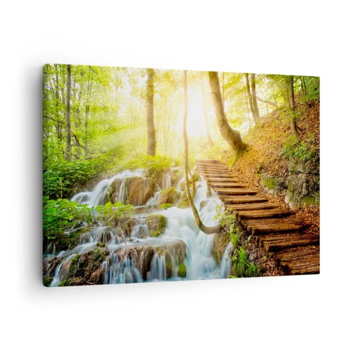 Cuadro sobre lienzo - Impresión de Imagen - Camino forestal con escaleras de madera junto a la cascada. - 70x50cm - El ansiado frescor - Decoración de pared moderna para salón y dormitorio ARTTOR