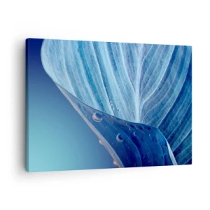 Cuadro sobre lienzo - Impresión de Imagen - Una hoja azul con gotas de agua visibles. - 70x50cm - Gotas ocultas de azul - Decoración de pared moderna para salón y dormitorio ARTTOR