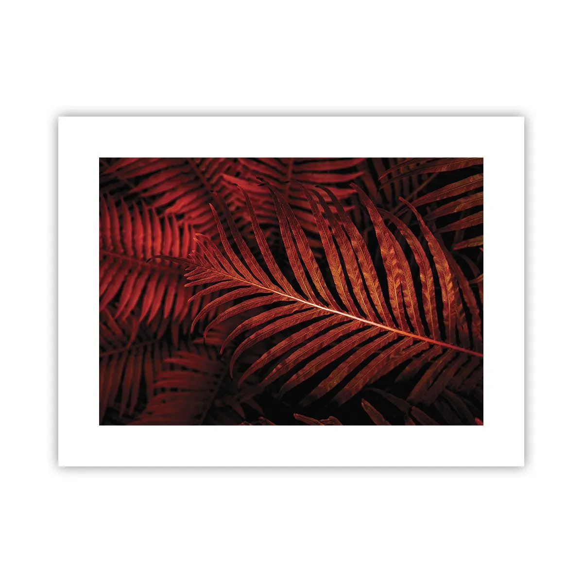 Póster - Las brasas de la vida - 40x30 cm