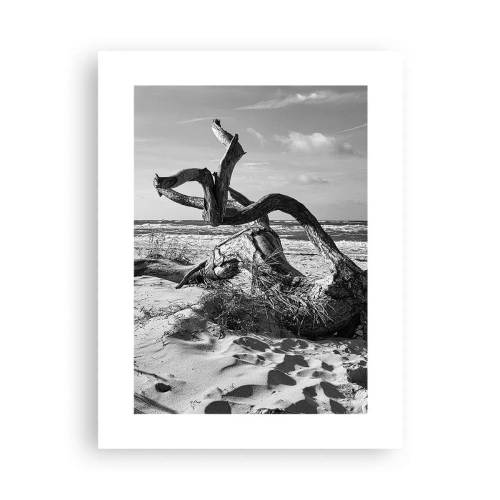 Póster - Escultura marina - 30x40 cm