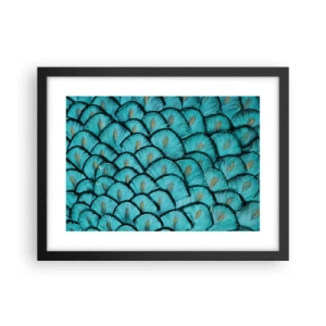 Póster en marco negro - La gran gala de las plumas - 40x30 cm