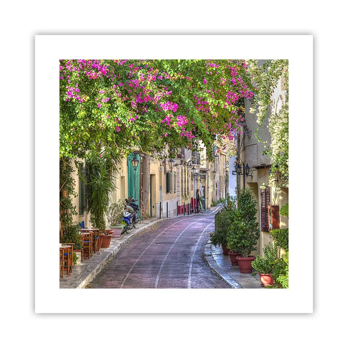 Póster - Un callejón floreciente - 40x40 cm