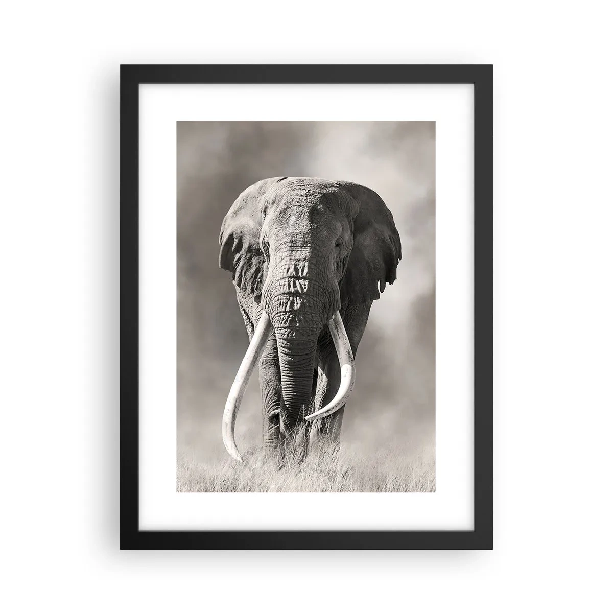 Póster en marco negro - Patriarca africano - 30x40 cm