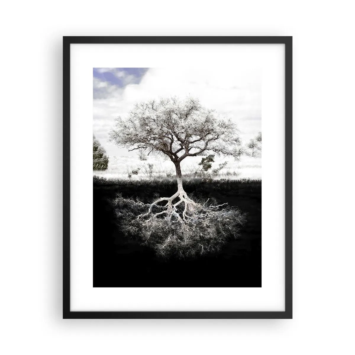 Póster en marco negro - Descubrir la naturaleza del mundo - 40x50 cm