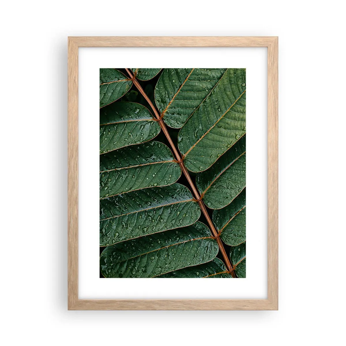Póster en marco roble claro - En un ritmo verde - 30x40 cm