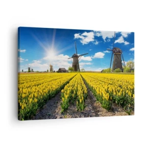 Cuadro sobre lienzo - Impresión de Imagen - Un campo de tulipanes amarillos con molinos de viento en el horizonte. - 70x50cm - No podría ser más holandés - Decoración de pared moderna para salón y dormitorio ARTTOR