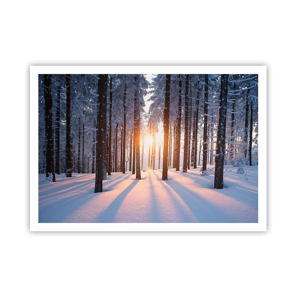 Póster - Bosque invernal iluminado por los rayos del sol. - 100x70cm - Claramente en blanco y negro - Decoración de pared moderna para salón y dormitorio ARTTOR