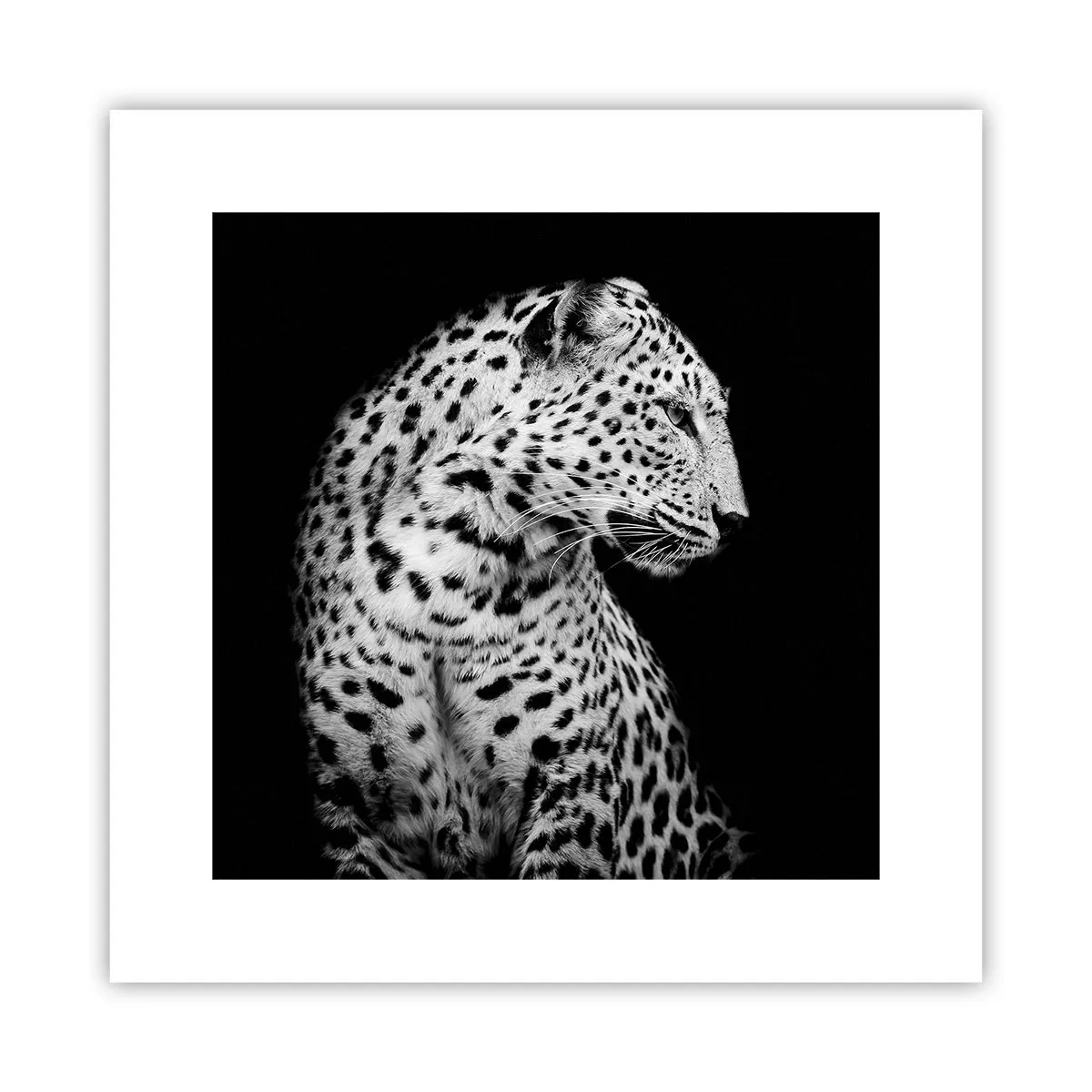 Póster - El perfil derecho es perfecto - 30x30 cm