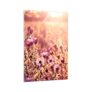 Cuadro sobre vidrio - Impresiones sobre Vidrio - Pradera a la luz del sol poniente - 70x100cm - Antes de que se acabe el verano - Decoración de pared moderna para salón y dormitorio ARTTOR