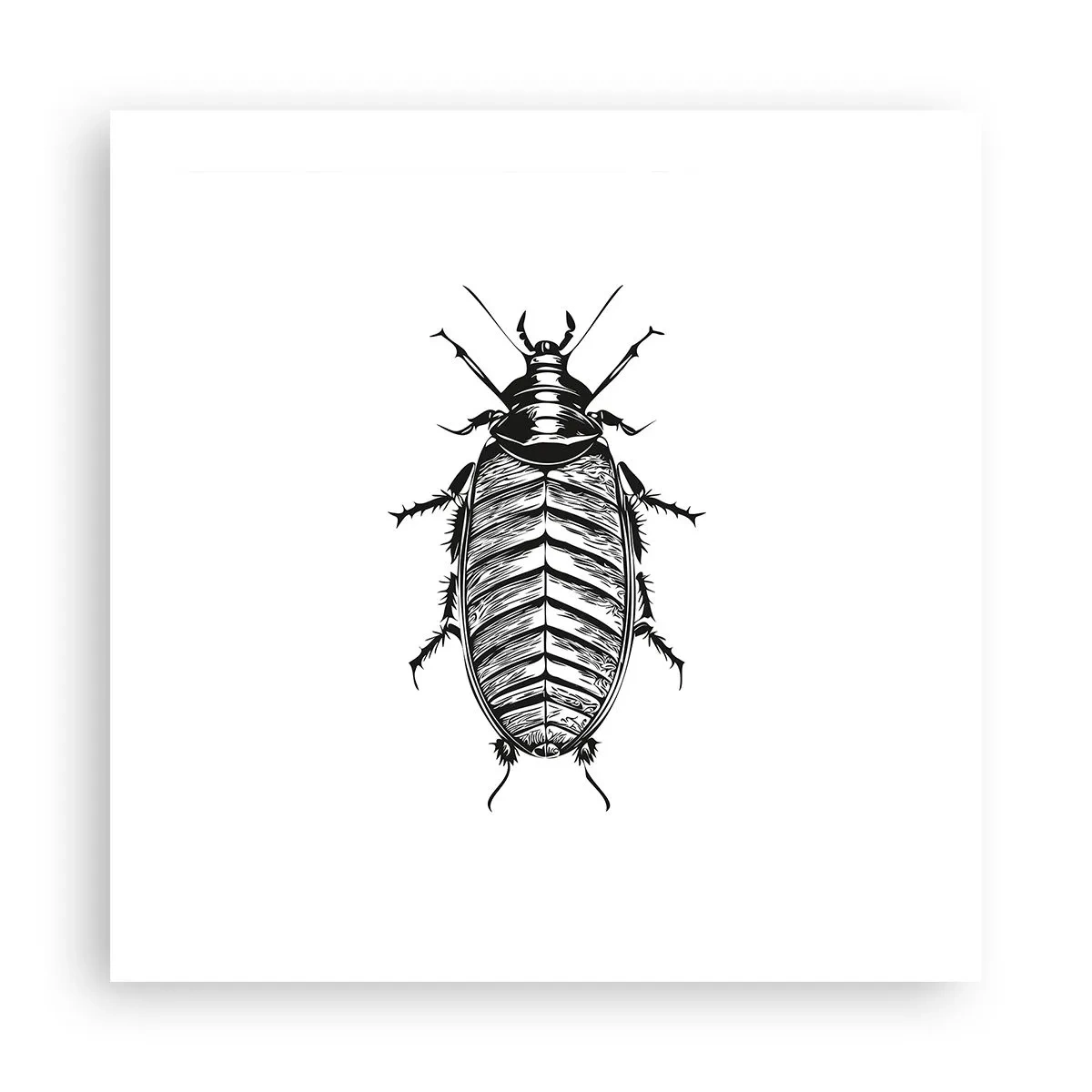 Póster - ¡Qué espécimen! - 50x50 cm