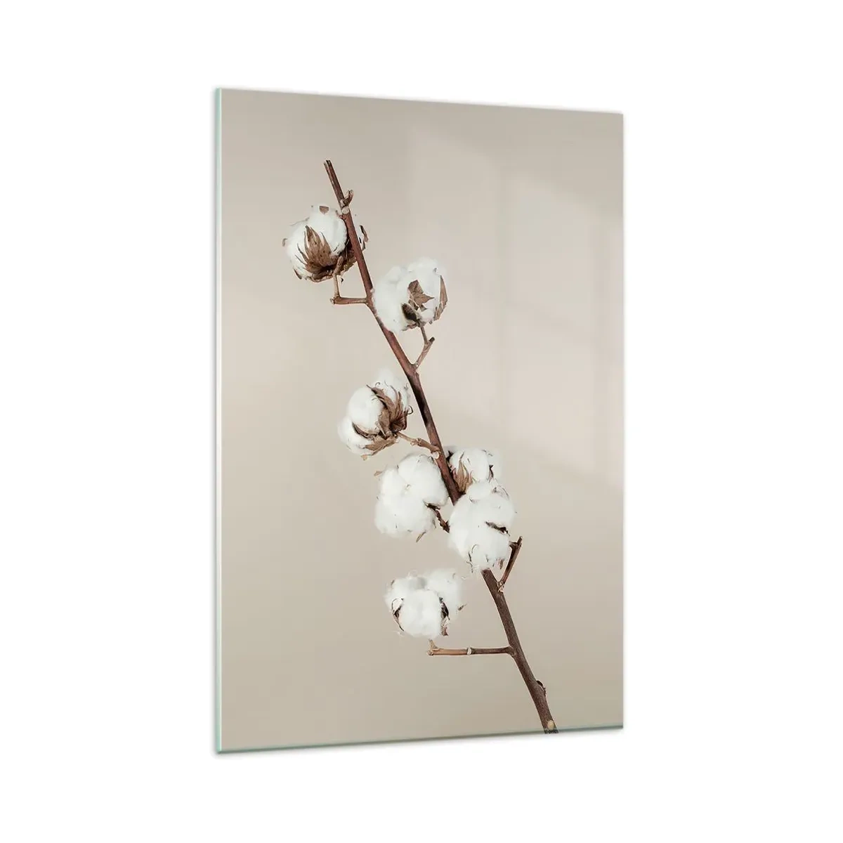 Cuadro sobre vidrio - Impresiones sobre Vidrio - Una ramita de algodón sobre un fondo beige. - 80x120cm - En la fuente de la suavidad - Decoración de pared moderna para salón y dormitorio ARTTOR
