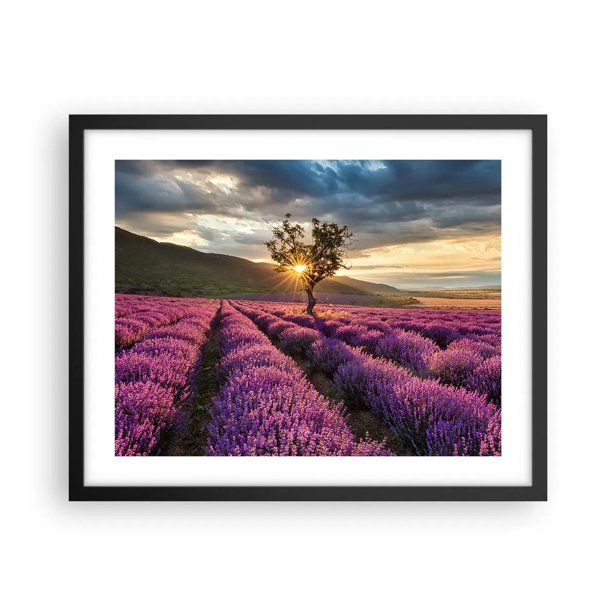 Póster en marco negro - Aroma en lila - 50x40 cm