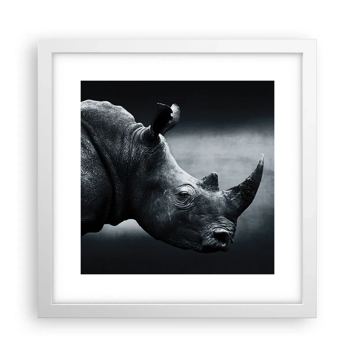 Póster en marco blanco - Perfil derecho - 30x30 cm