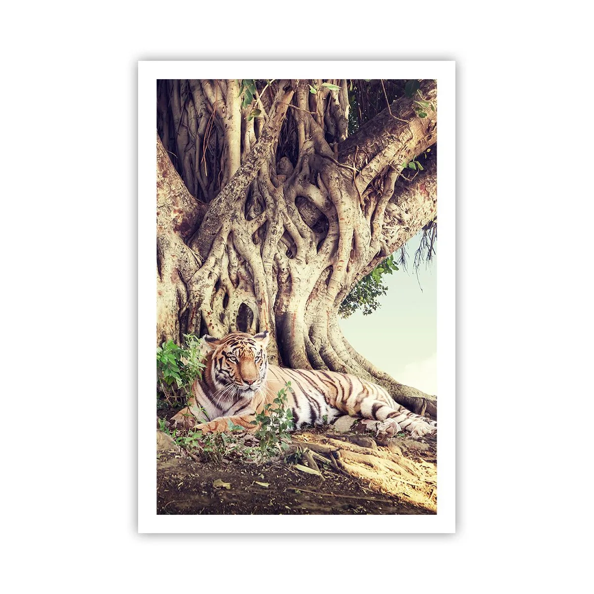 Póster - Una visión desde el Génesis - 61x91 cm