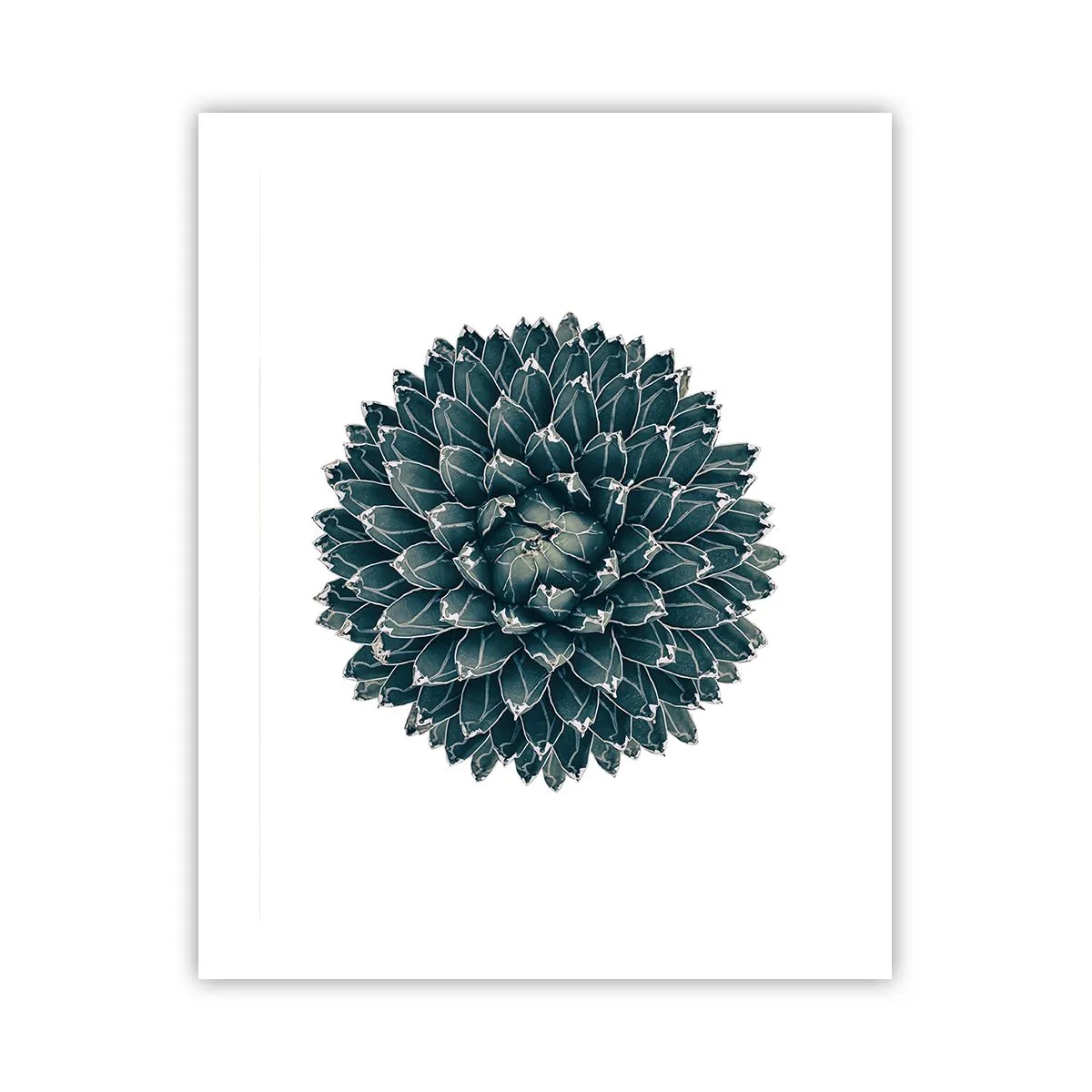 Póster - Estrella del desierto - 40x50 cm