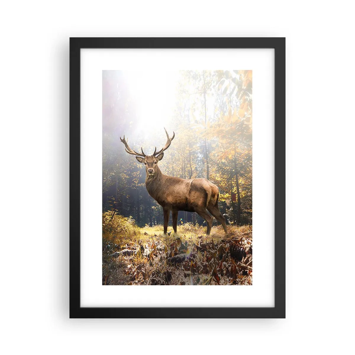 Póster en marco negro - Con toda la majestuosidad - 30x40 cm