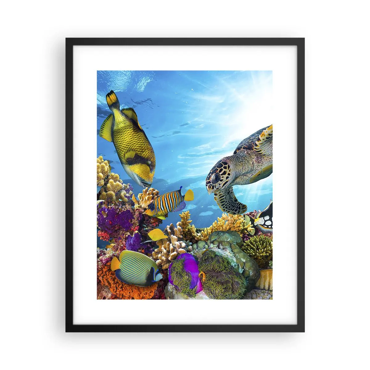 Póster en marco negro - Paseo del coral - 40x50 cm