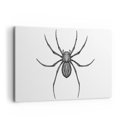 Cuadro sobre lienzo - Impresión de Imagen - Detalle de una araña sobre un fondo blanco en estilo de dibujos animados. - 100x70cm - Precisión inquietante - Decoración de pared moderna para salón y dormitorio ARTTOR
