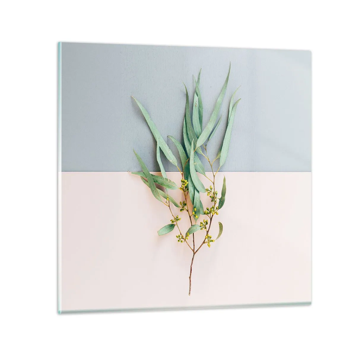 Cuadro sobre vidrio - Impresiones sobre Vidrio - La sutileza del pastel - 70x70 cm