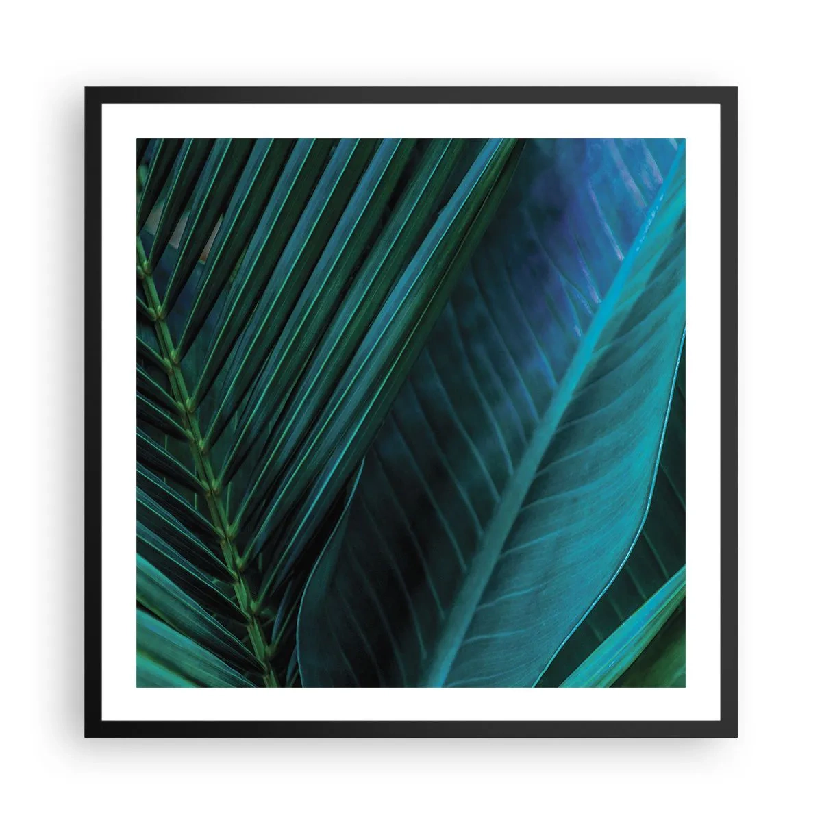 Póster en marco negro - Anatomía del verde - 60x60 cm