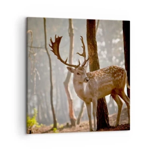 Cuadro sobre lienzo - Impresión de Imagen - La luz de la juventud - 50x50 cm