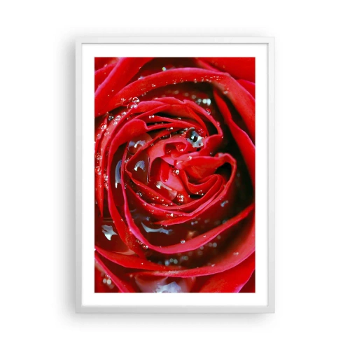 Póster en marco blanco - En gotas de rocío - 50x70 cm