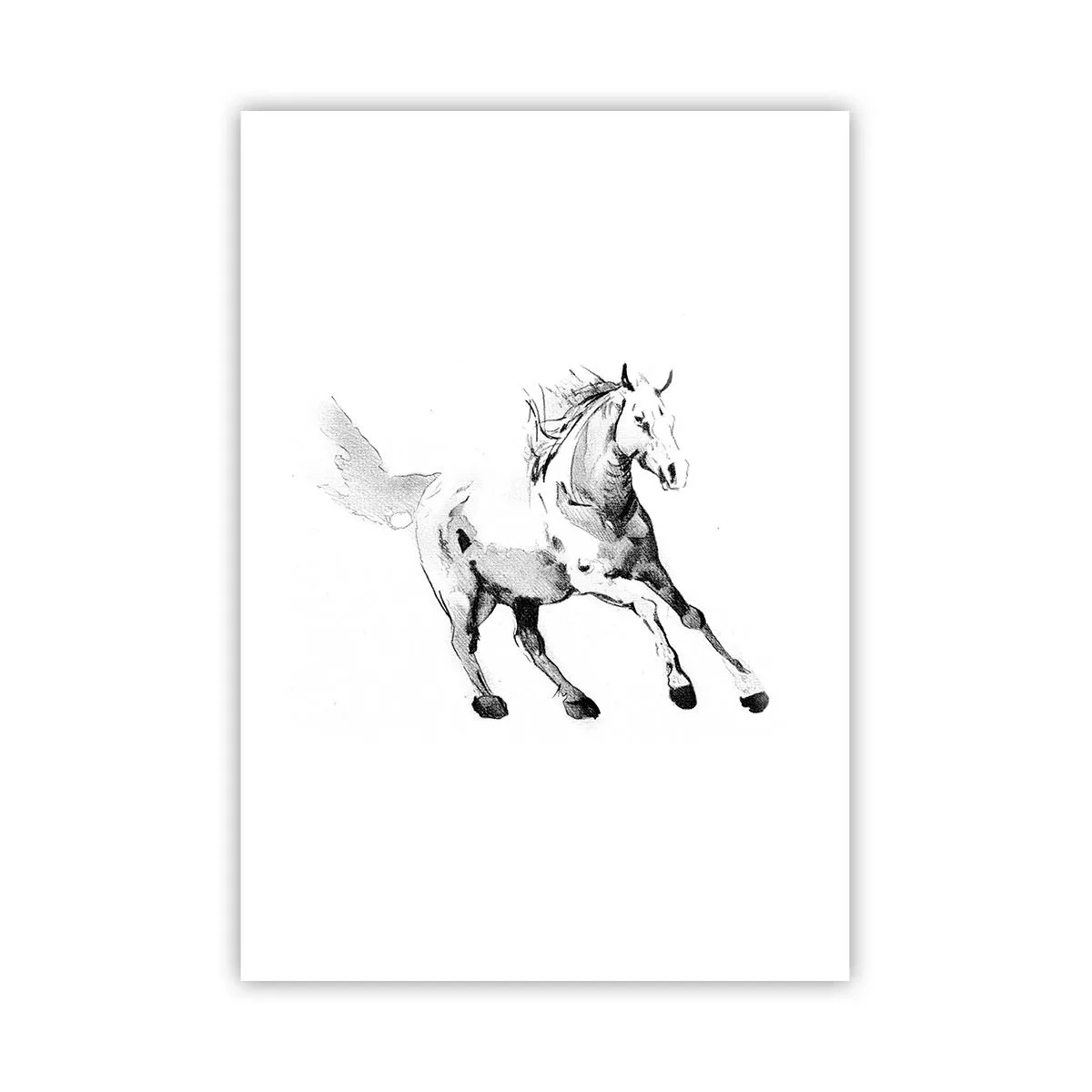 Póster - Alma indómita - 70x100 cm