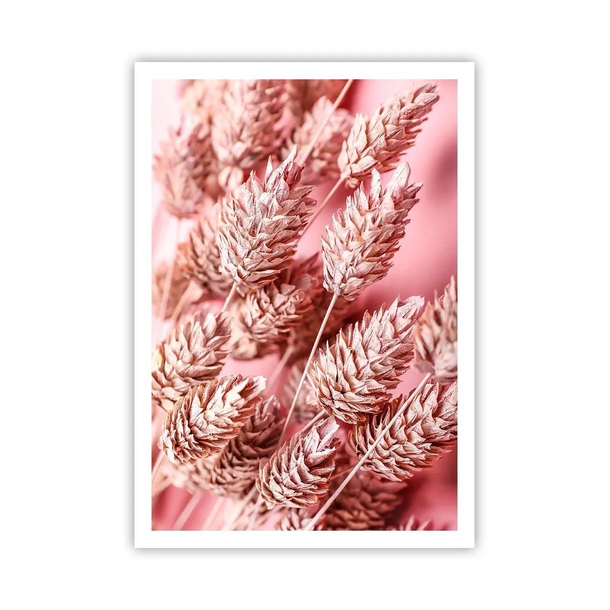 Póster - Estructura floral en rosa - 70x100 cm