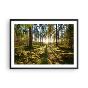 Póster en marco negro - Bosque verde iluminado por la luz del sol sobre el musgo. - 70x50cm - ...Más allá de los siete bosques - Decoración de pared moderna para salón y dormitorio ARTTOR