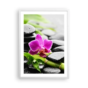 Póster en marco blanco - En equilibrio pacífico - 50x70 cm