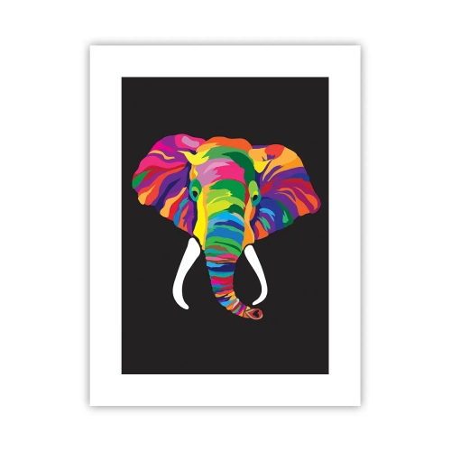 Póster - El elefante al que le gustaba bañarse en el arco iris - 30x40 cm