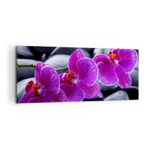 Cuadro sobre lienzo - Impresión de Imagen - Las piedras brillan con deleite - 100x40 cm